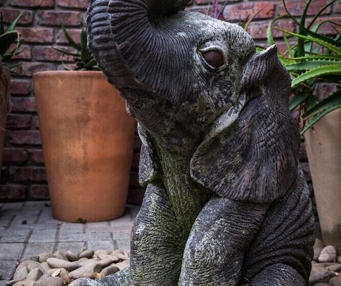 Fotos del hotel Treetops Guesthouse:  3