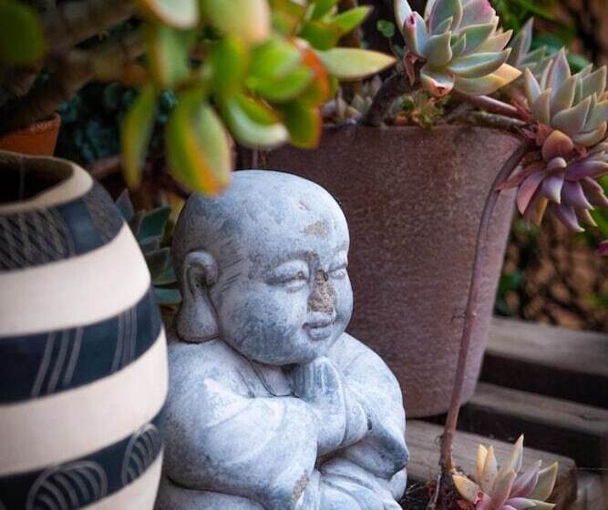 Fotos del hotel Treetops Guesthouse:  6