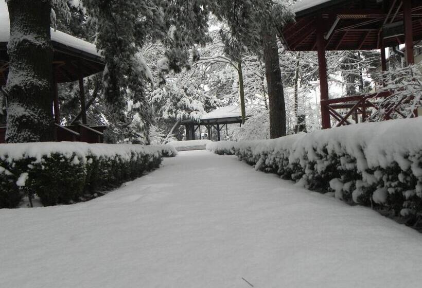 Fotos del hotel Baneasa Parc:  22