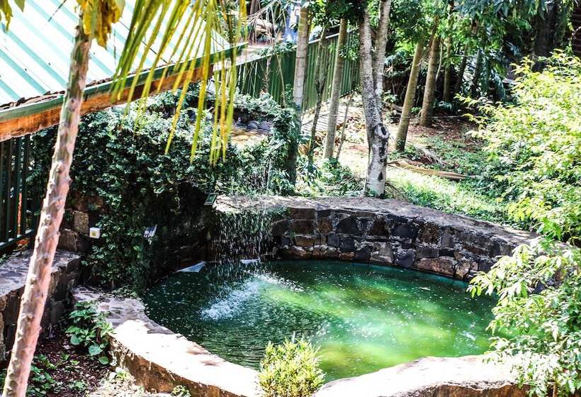 Fotos del hotel Palo Rosa Lodge:  14