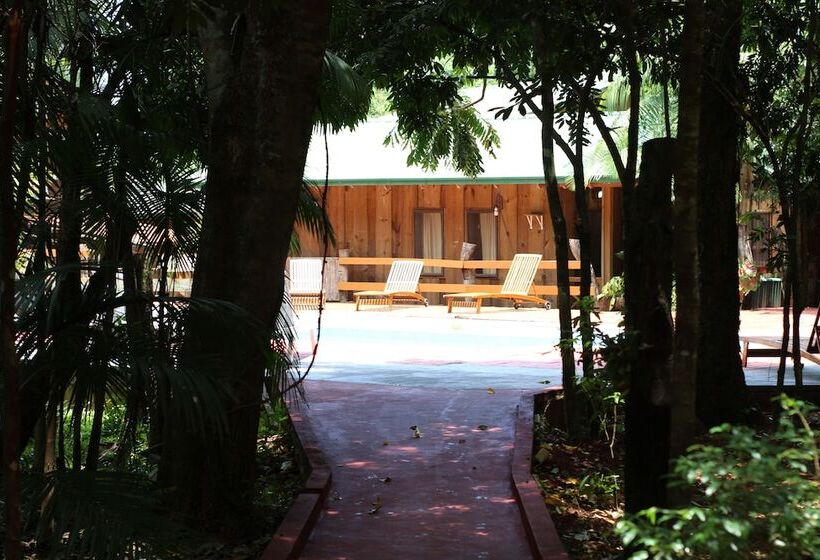 Fotos del hotel Palo Rosa Lodge:  16