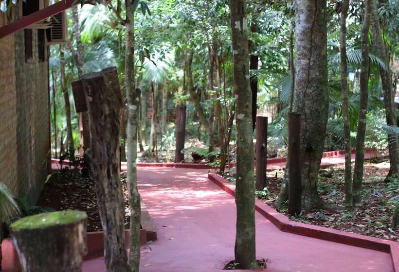 Fotos del hotel Palo Rosa Lodge:  21