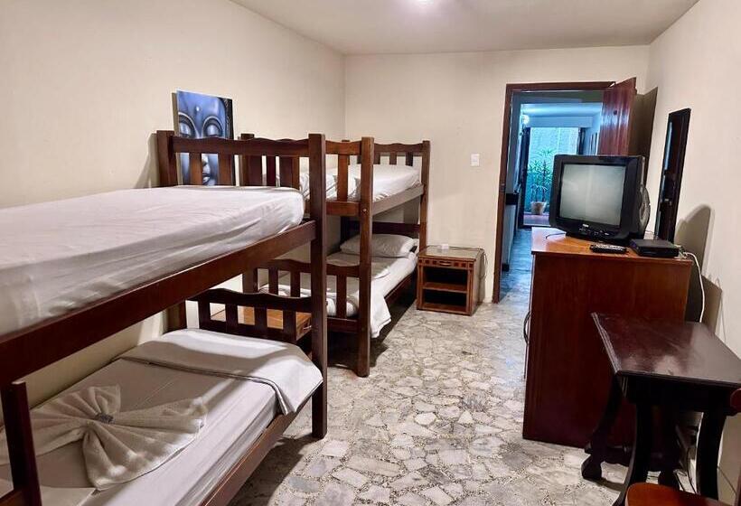 Fotos del hotel Pousada E Hostel Barra Da Tijuca:  22