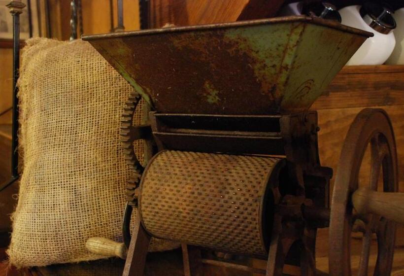 Fotos del hotel Nuestras Raíces Hotel - Museo - Restaurante:  6