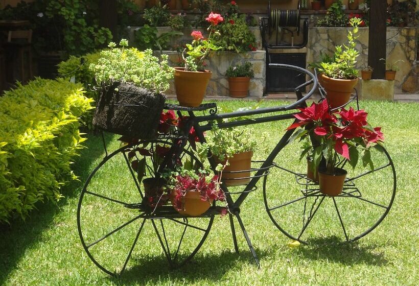 Fotos del hotel Nuestras Raíces Hotel - Museo - Restaurante:  11