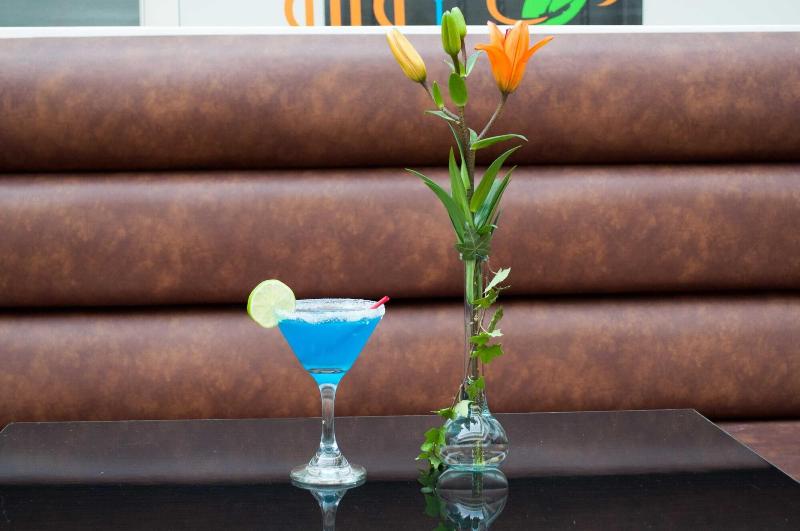 Fotos del hotel Ferias Park:  20