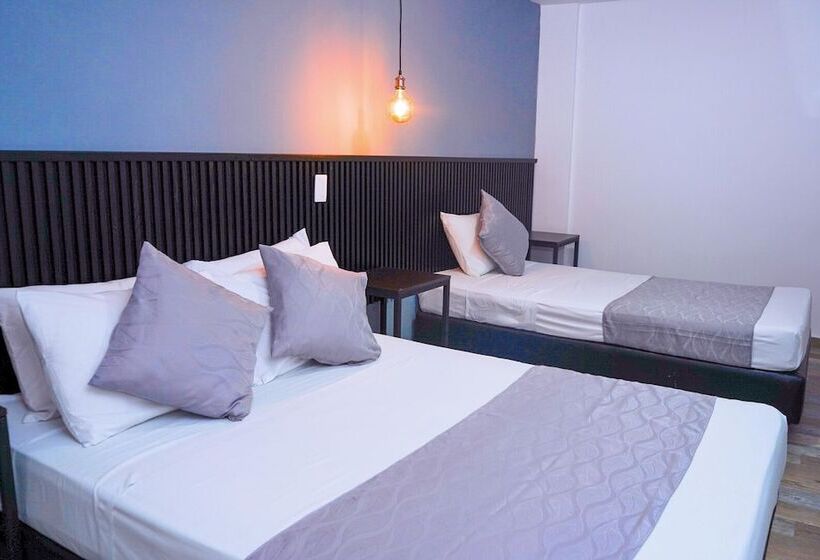 Fotos del hotel Palmas Del Estadio:  19