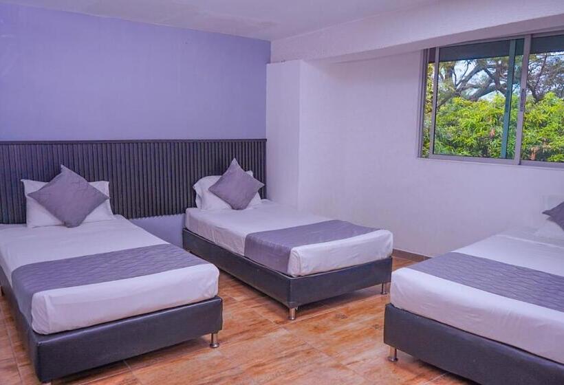 Fotos del hotel Palmas Del Estadio:  13