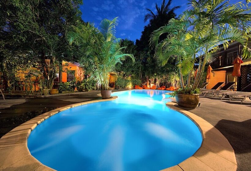 Fotos del hotel Eden Bungalows:  21