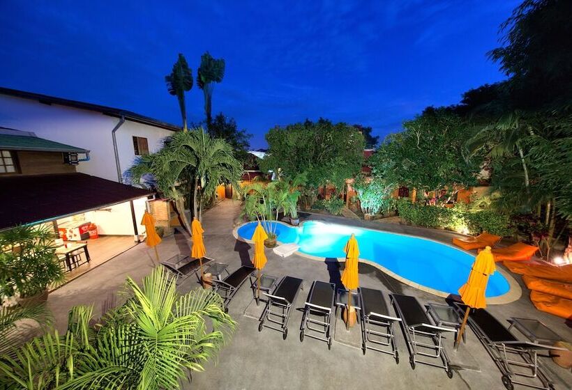 Fotos del hotel Eden Bungalows:  23