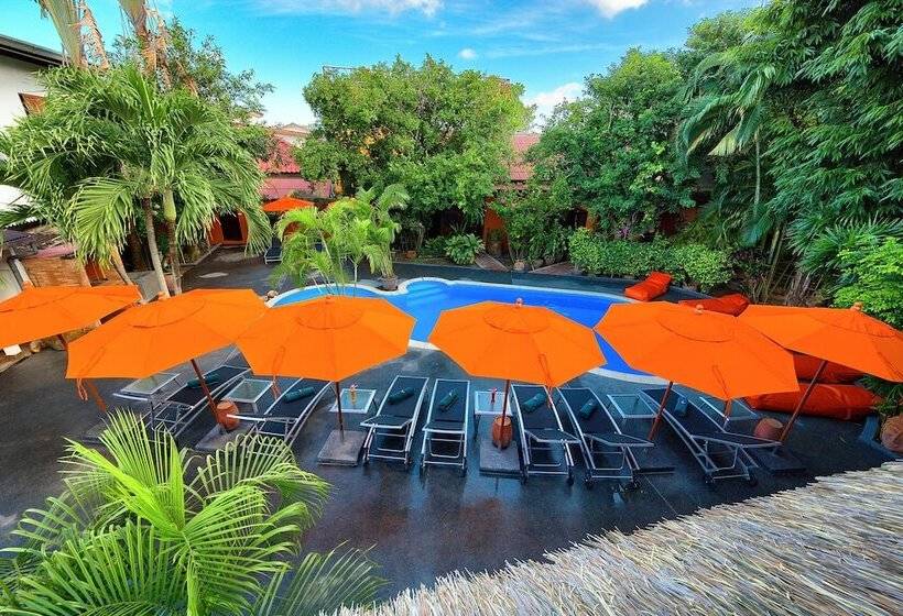 Fotos del hotel Eden Bungalows:  19