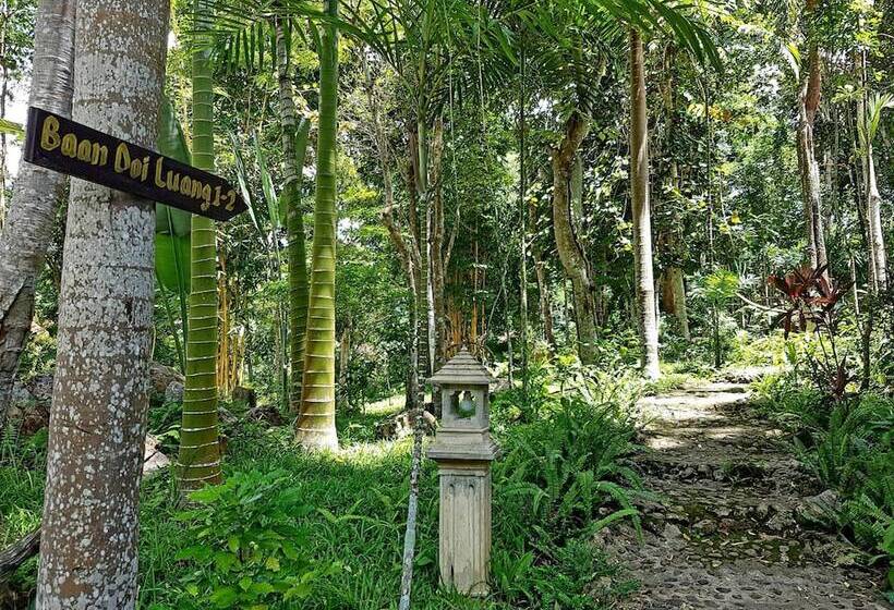 Fotos del hotel Marisa Resort & Spa Chiang Dao:  6