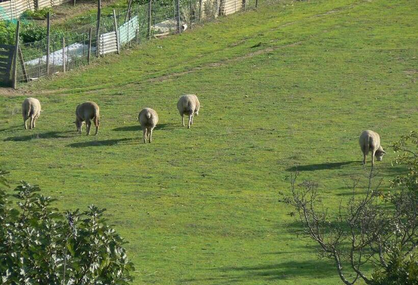 Fotos del hotel Graca:  11