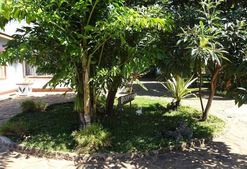 Fotos del hotel White Rose Lodge:  5