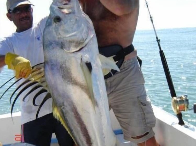 Fotos del hotel Kayla'a Beach Resort:  15