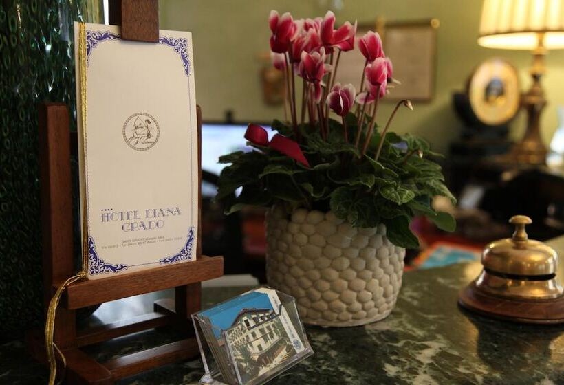 Fotos del hotel Diana:  19