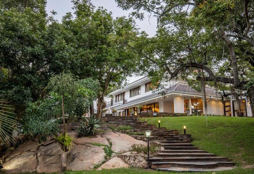 Fotos del hotel Sheppard Boutique Guest House:  18