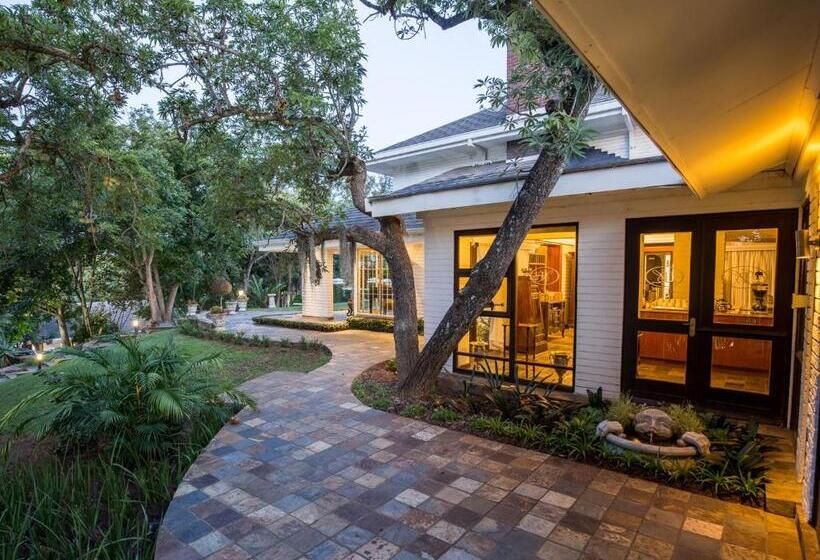 Fotos del hotel Sheppard Boutique Guest House:  13