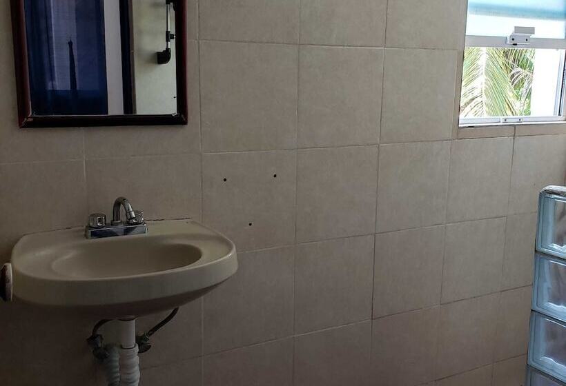 Fotos del hotel & Hostal Mayflower:  4