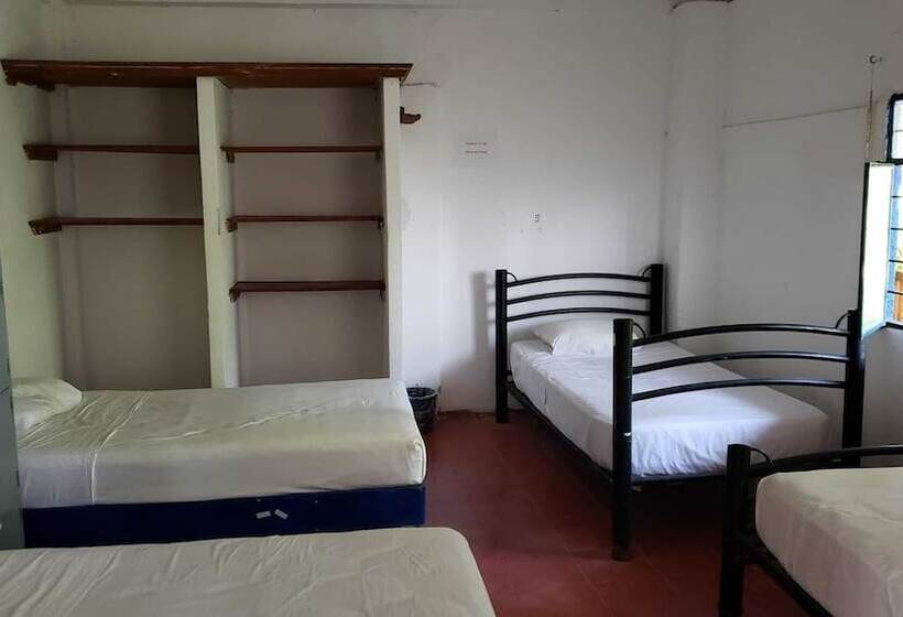 Fotos del hotel & Hostal Mayflower:  10