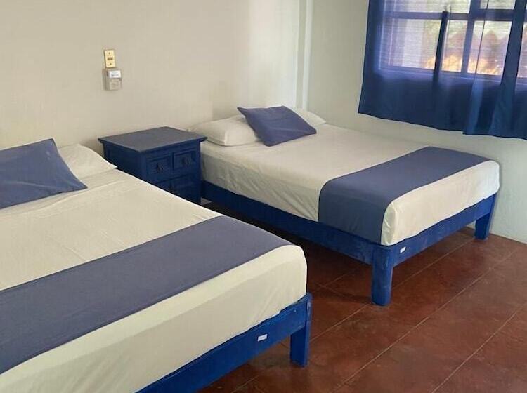 Fotos del hotel & Hostal Mayflower:  12