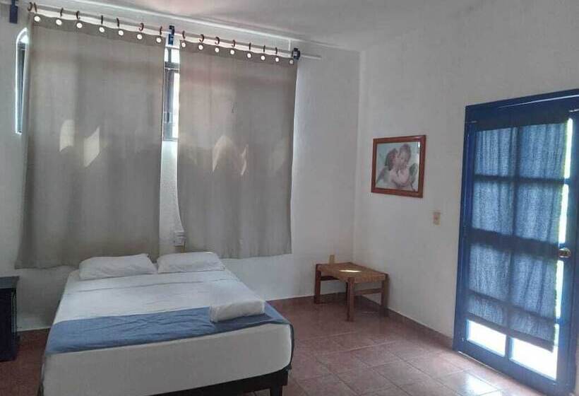 Fotos del hotel & Hostal Mayflower:  13