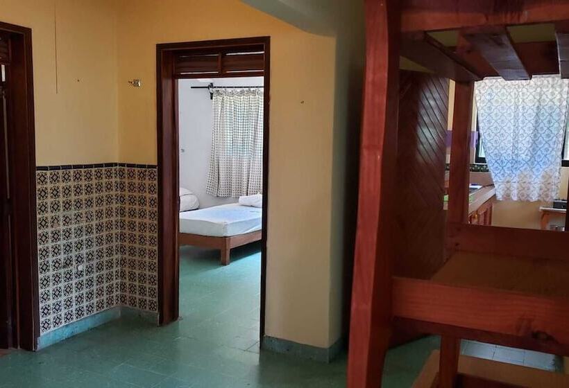 Fotos del hotel & Hostal Mayflower:  24