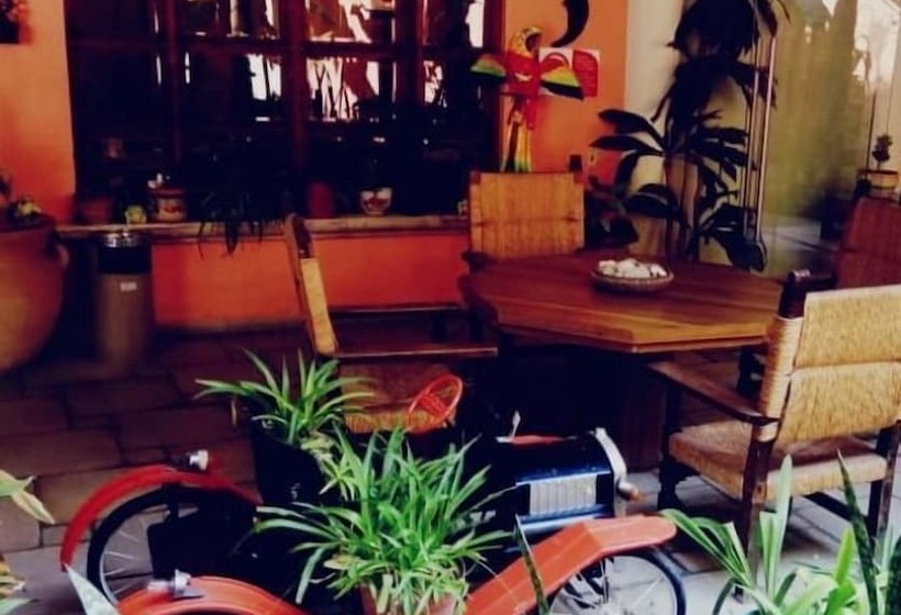 Fotos del hotel Villa Manzanares:  8