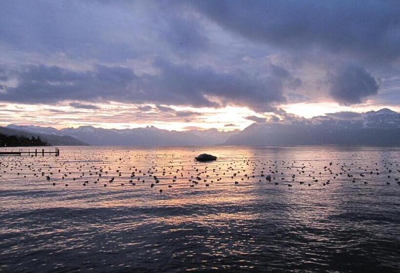 Fotos del hotel Hôtel Du Port:  13