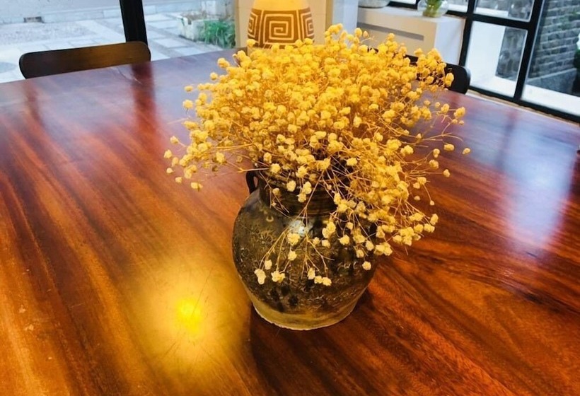 Fotos del hotel Moon Flower:  14