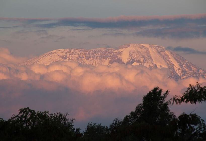 Fotos del hotel Ngare Sero Mountain Lodge:  5