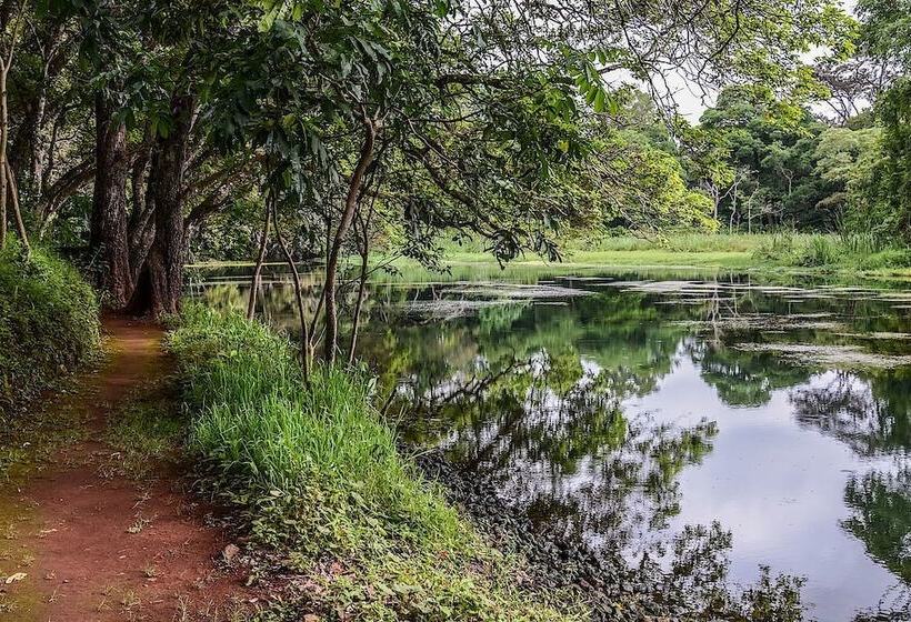 Fotos del hotel Ngare Sero Mountain Lodge:  25