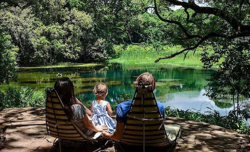 Fotos del hotel Ngare Sero Mountain Lodge:  23