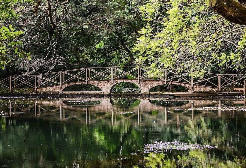 Fotos del hotel Ngare Sero Mountain Lodge:  12