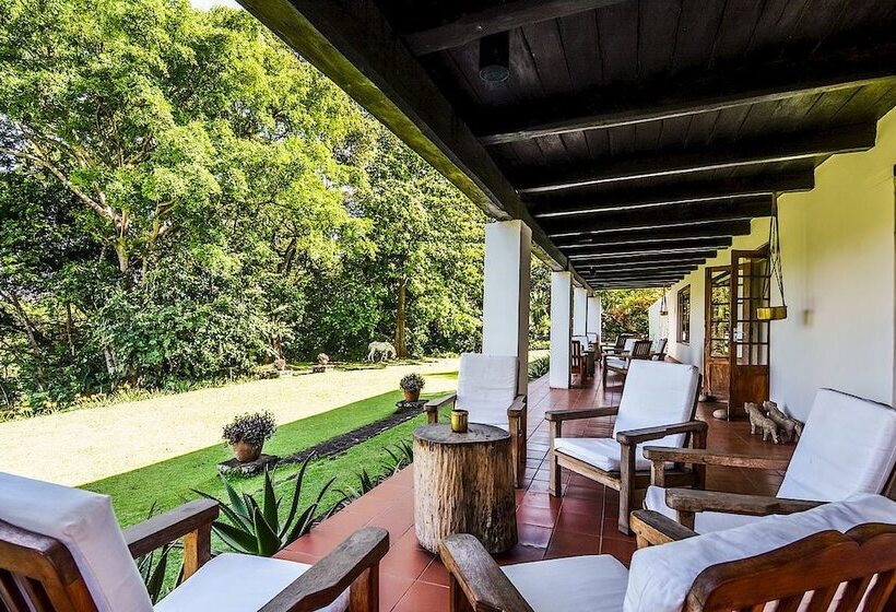 Fotos del hotel Ngare Sero Mountain Lodge:  15