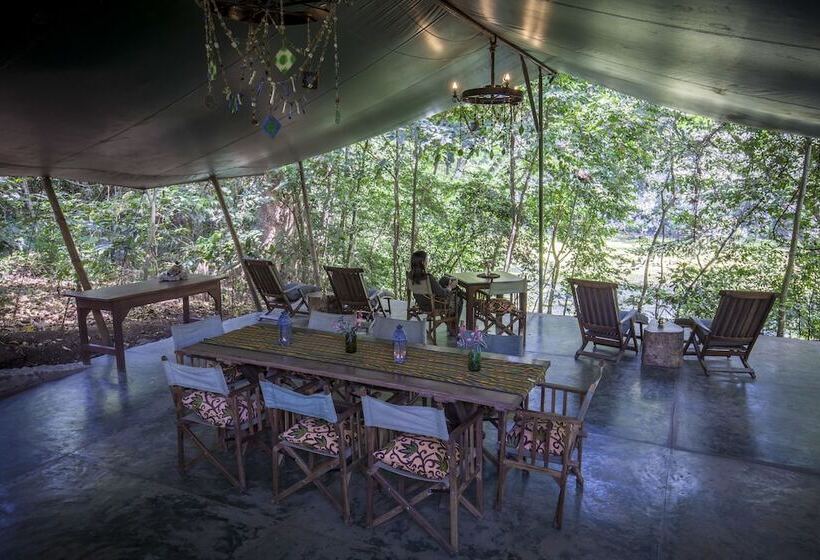 Fotos del hotel Ngare Sero Mountain Lodge:  19