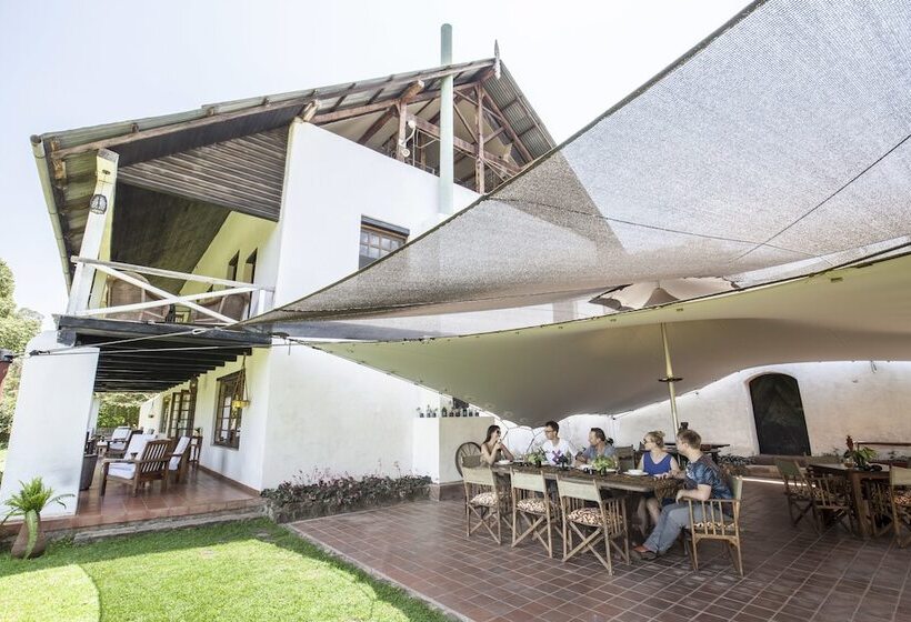 Fotos del hotel Ngare Sero Mountain Lodge:  3