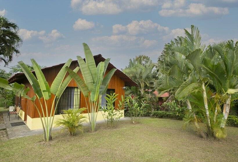 Fotos del hotel Rancho Cerro Azul:  15