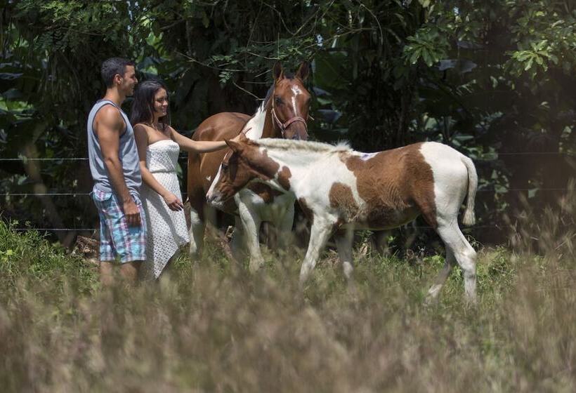 Fotos del hotel Rancho Cerro Azul:  14