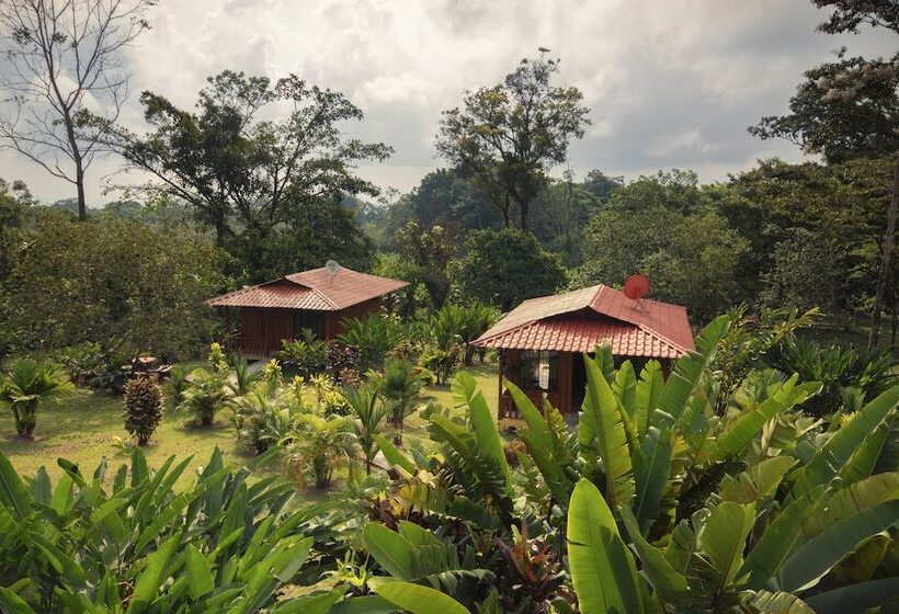 Fotos del hotel Rancho Cerro Azul:  13