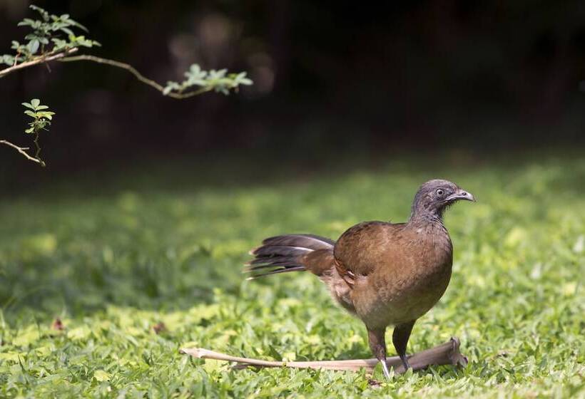 Fotos del hotel Rancho Cerro Azul:  12