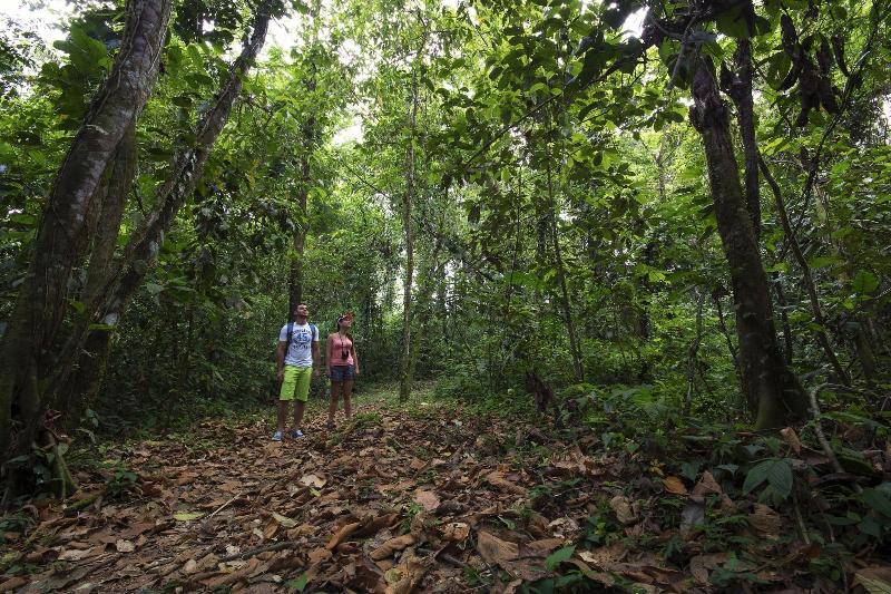 Fotos del hotel Rancho Cerro Azul:  19