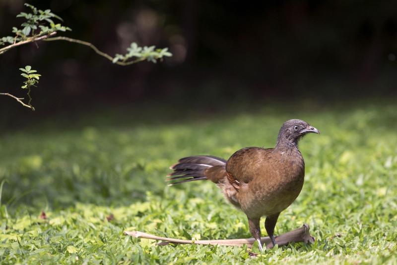 Fotos del hotel Rancho Cerro Azul:  8