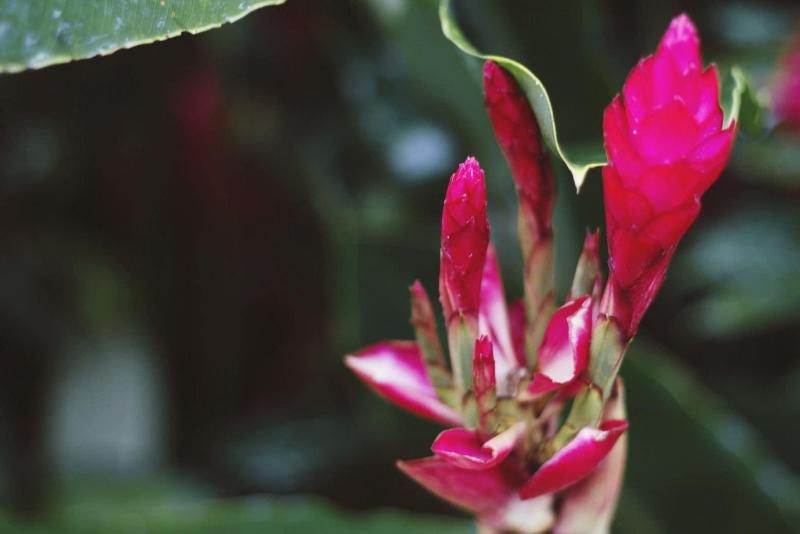 Fotos del hotel Rancho Cerro Azul:  5