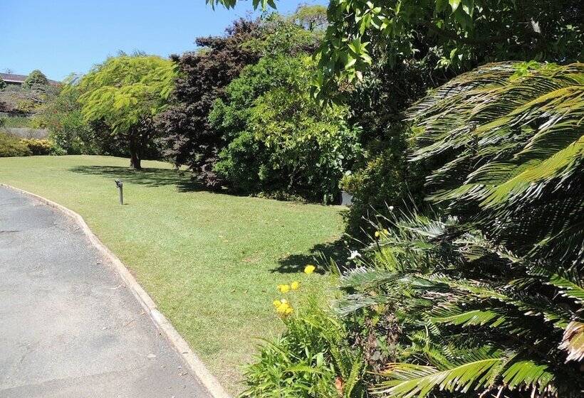 Fotos del hotel Comfort Inn Premier:  2