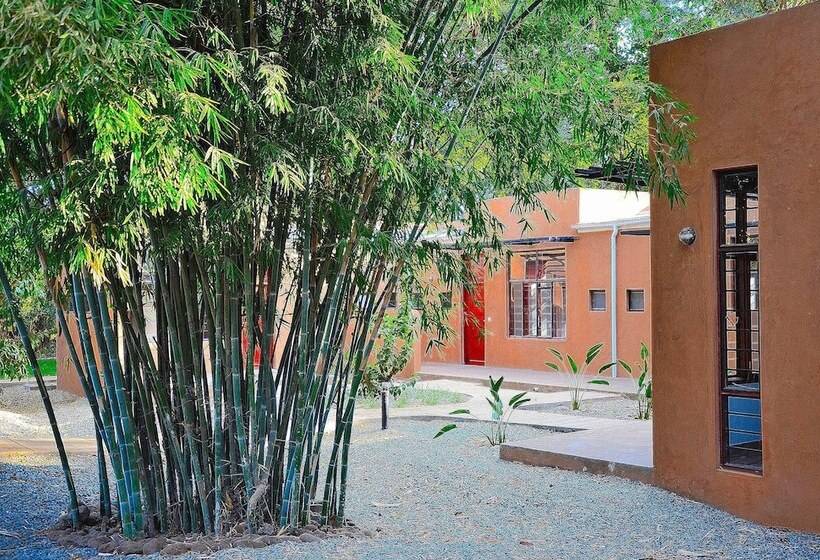 Fotos del hotel Green Hills Of Africa:  23