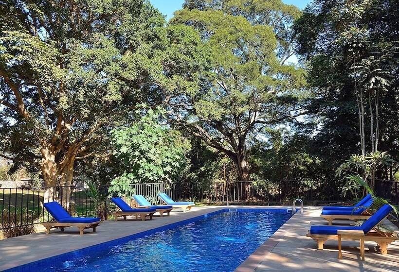 Fotos del hotel Green Hills Of Africa:  22