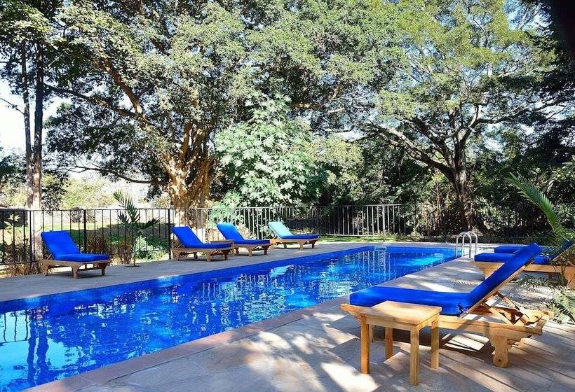 Fotos del hotel Green Hills Of Africa:  17