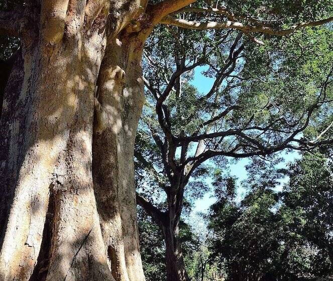 Fotos del hotel Green Hills Of Africa:  8