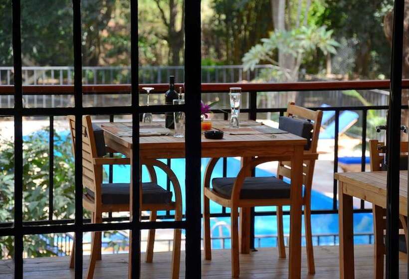 Fotos del hotel Green Hills Of Africa:  14